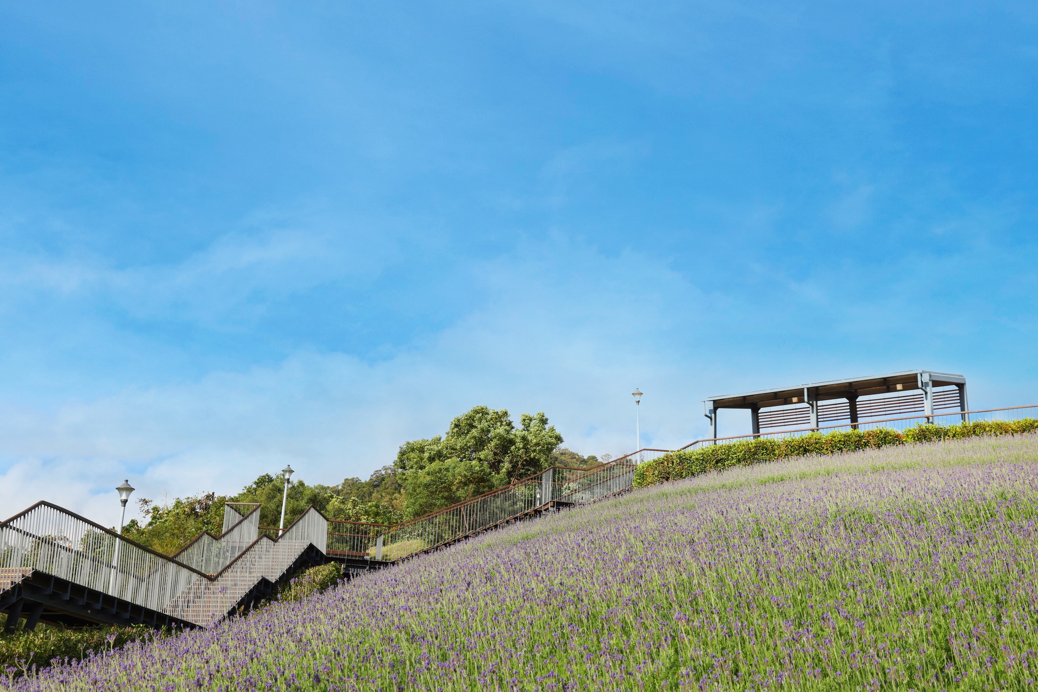 台北賞花, 北投賞花, 北投社三層崎公園