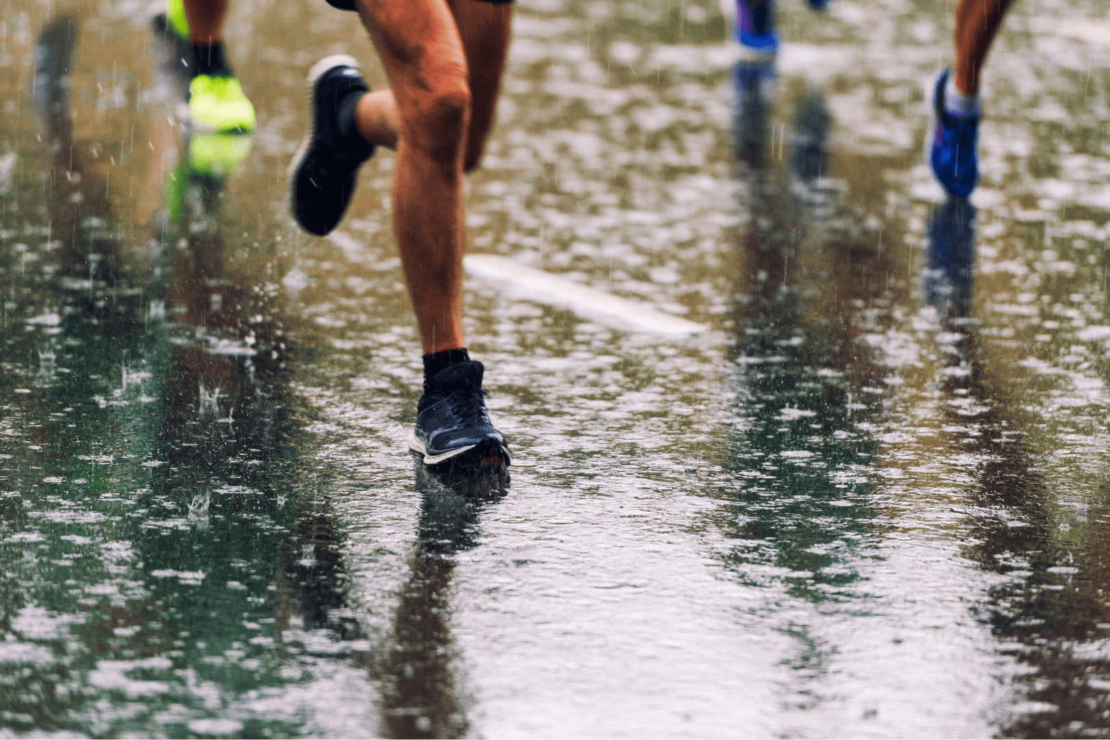 Image Source: Canva   Photographer: funky-data (Getty Images Signature)
