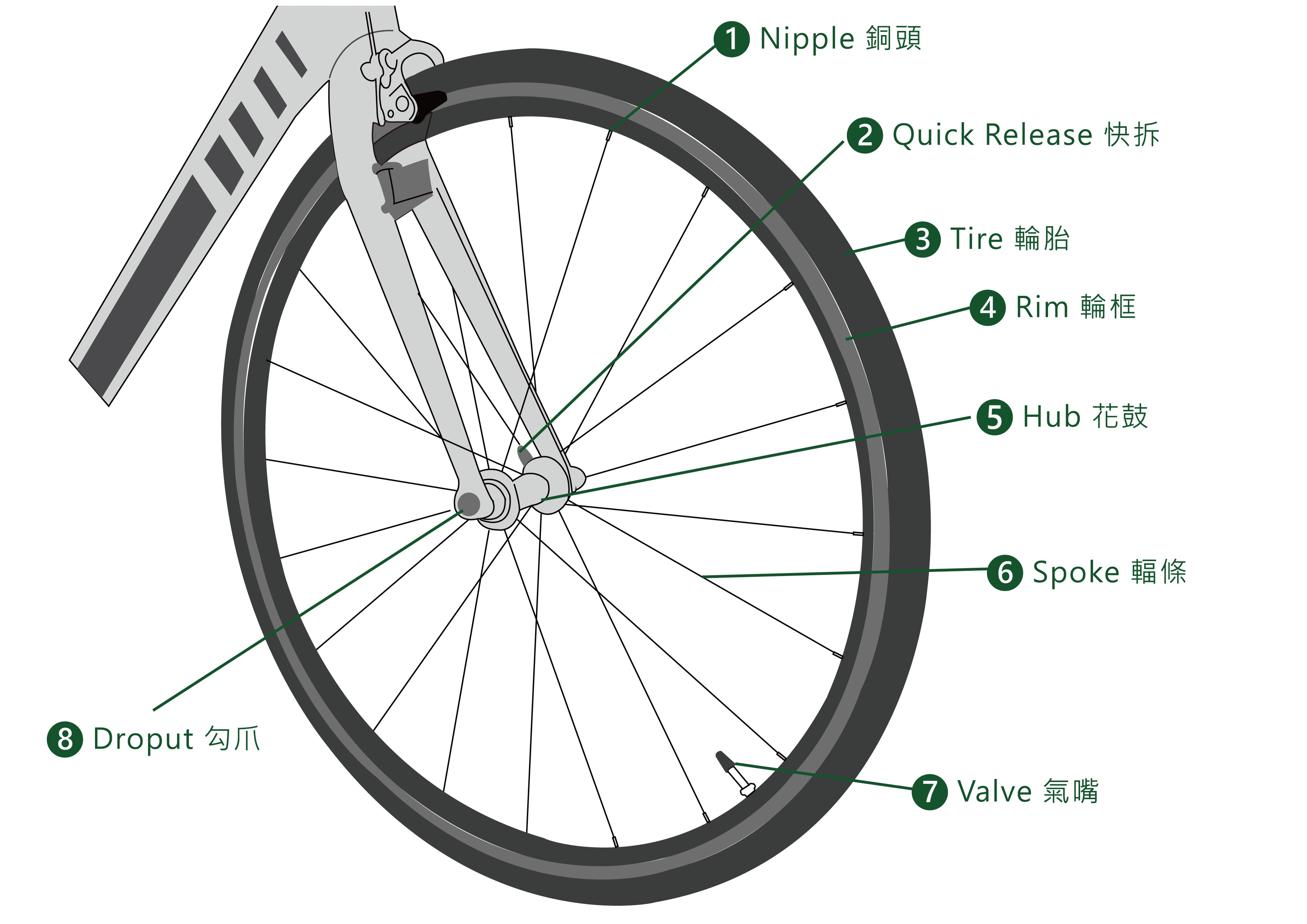 Illustrated bicycle parts diagram choose the most suitable bike accessories for yourself. Running and Cycling Bone Talk Bone