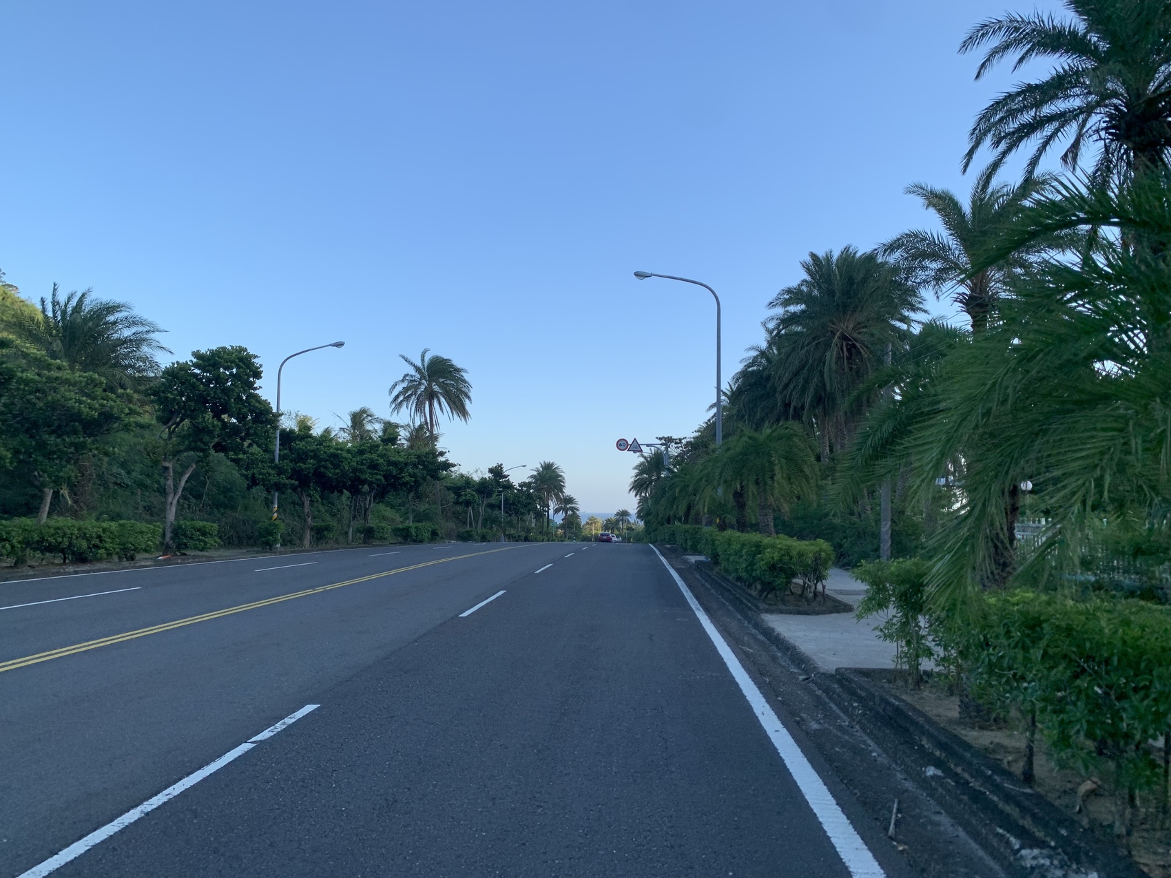 椰林大道